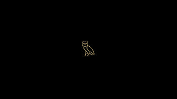 OVO Owl HD wallpaper