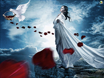 The Last Rose, artwork, leaves, dove, woman HD wallpaper