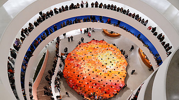Community, Guggenheim museums, Foundation, Artistic expression HD wallpaper