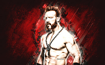 Custom Sheamus, WWE, portrait, red stone background, WWE champion, World Wrestling Entertainment HD wallpaper
