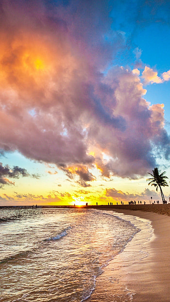Honolulu , Vibrant cityscape, Ocean views, Exotic destination HD phone wallpaper