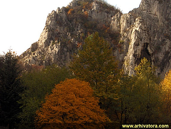 Mountain, graphy, fall, colours, orange, rocks, beauty, tree, season, bulgaria, trees, autumn, nature HD wallpaper
