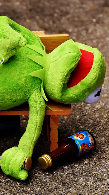 Drunk Kermit, humor, funny, frog HD phone wallpaper