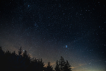 Nature, Trees, Night, Starry Sky, Night Landscape, Nightscape HD wallpaper