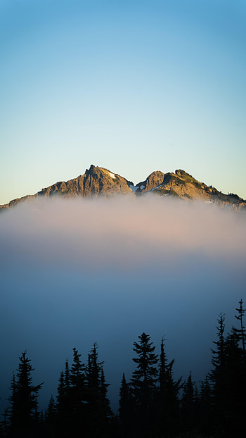 Nature, Sky, Mountains, Fog, Spruce, Fir HD phone wallpaper