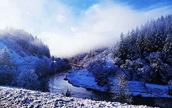Eel River, California, sky, snow, usa, winter, trees, clouds HD wallpaper
