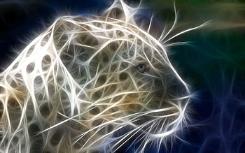 Abstract, Shine, Light, Leopard, Lines, Animal HD wallpaper