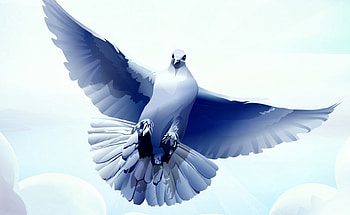 Blue dove, blue, wings, dove, bird, art, fantasy, fly, sky, cloud HD wallpaper