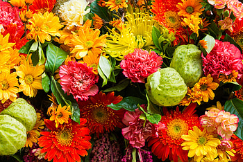 Flowers everywhere, nature, flowers, spring, pretty HD wallpaper