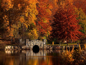 Autumn, reflection, fall, nature, water, lake, stones HD wallpaper