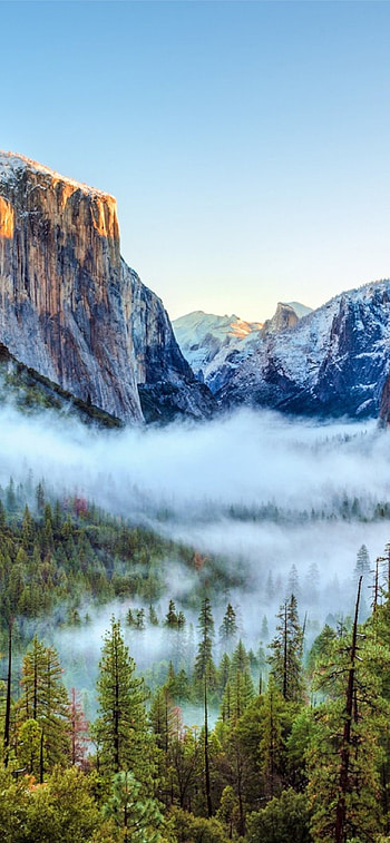 Yosemite National Park, Geography HD phone wallpaper