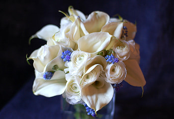 Flowers, Bouquet, Calla, Ranunculus, Ranunkulus, Callas, Combination, Muskari, Muscari HD wallpaper