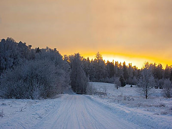 Winter Sunset, winter, set, sun, snow HD wallpaper