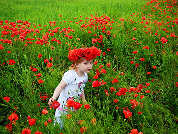 In poppy field, field, red, meadow, nature, grass, girl, popy, child HD wallpaper
