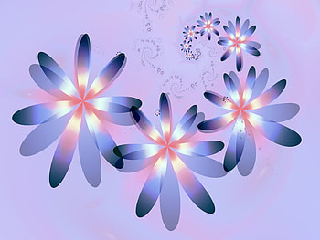 flower power . jpg, blue, pink, power, flower HD wallpaper