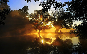 Sunset, forests, nature, light, sunsets HD wallpaper