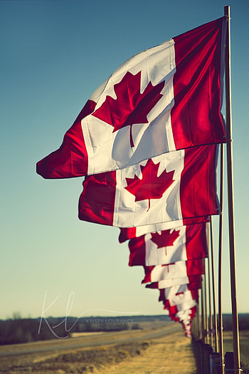 Canada Flags, International Flags HD phone wallpaper