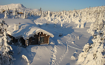 Snow, Mountain, Cabin, Winter, , House, Place, Tree HD wallpaper