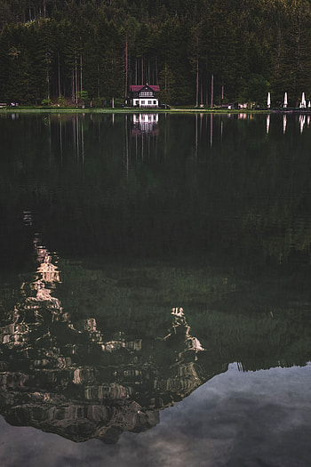 Nature, Trees, Lake, Shore, Bank, Forest, House HD phone wallpaper