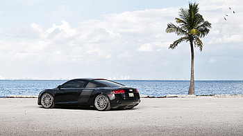 vehicle, Audi R8 HD wallpaper
