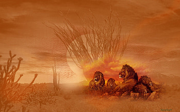 Africian Lions, african, cats, desert, wild, lions HD wallpaper