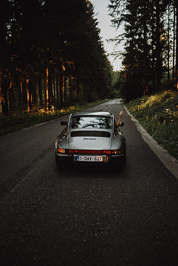Porsche, Cars, Hand, Road, Car, Porsche Carrera HD phone wallpaper