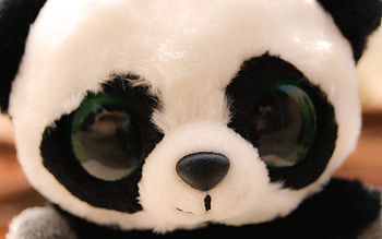 My, What big eyes you have!, bear, teddy, black and white, eyes, cute, panda HD wallpaper