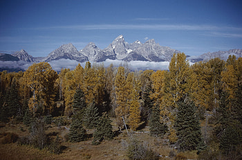 Nature, Trees, Mountains, Autumn, Leaves, Clouds, Vertex, Conifers, Coniferous, Tops HD wallpaper