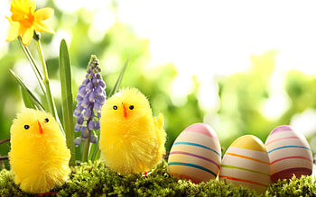 Easter, Holiday HD wallpaper