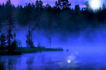 Costa azul, natural, color, vista, bosque HD wallpaper