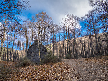 Nature, Trees, Stones, Forest, Asylum, Refuge HD wallpaper
