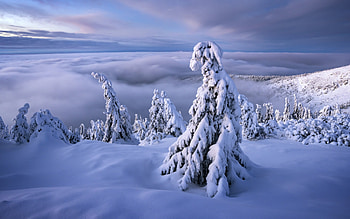Snow Covered Mountain, trees, winter, mountain, snow HD wallpaper