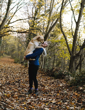 A woman joyfully embraces her dog on a foliage-covered forest trail in autumn. HD phone wallpaper