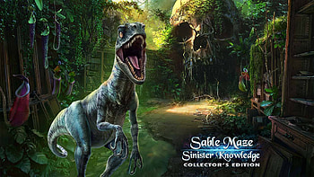 Sable Maze 6 - Sinister Knowledge06, hidden object, fun, video games, cool, puzzle HD wallpaper