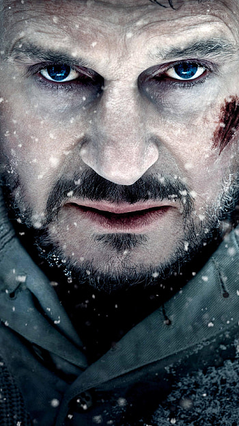 The Grey (2022) movie HD phone wallpaper