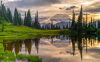Tipsoo Lake in Washington, USA, mount, trees, America, lake HD wallpaper