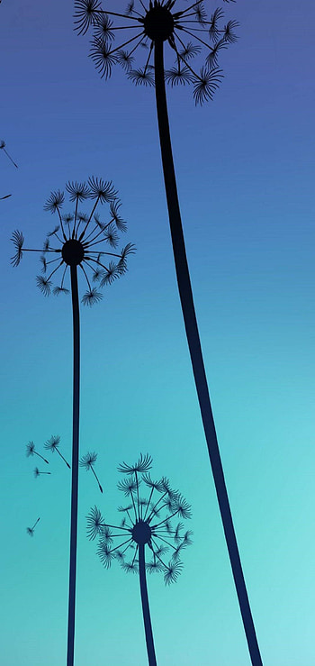 Samsung Galaxy S20 S20%2B Ultra Punch Hole 50 HD phone wallpaper
