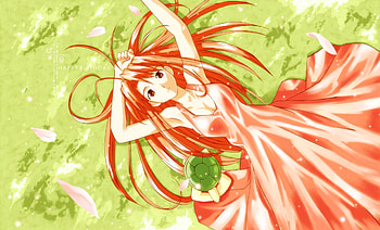 Love Hina, Naru, Naru Narusegawa, Anime Girl, Narusegawa, Stuffed Turtle, Anime HD wallpaper