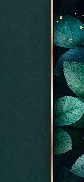 cool, cool, naturel, retro, havalı HD phone wallpaper