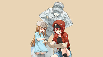 Cells at Work! Code Black, Top , Cells at Work, Backgrounds HD wallpaper