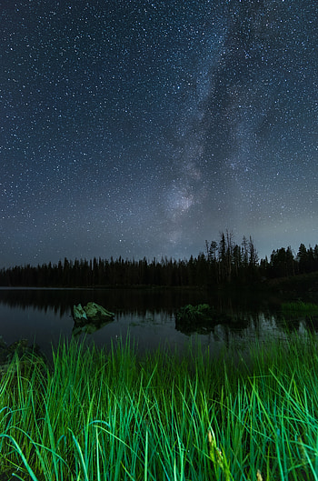 Nature, Trees, Grass, Night, Lake, Starry Sky HD phone wallpaper