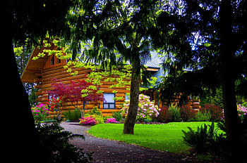 Wooden house, wooden, place, silent, peaceful, nice, quiet, trees, calm, woods, house, beautiful, grass, cabin, hut, nature, cottage, lovely, forest, countryside HD wallpaper
