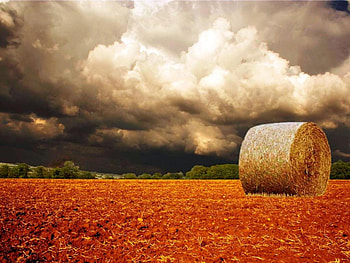 Longhorn, Storm Clouds, longhorn, gray, red, clouds, fields, nature, storm HD wallpaper