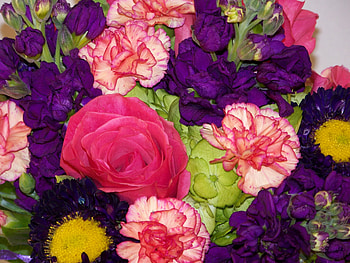 Flowers, Carnations, Bouquet HD wallpaper