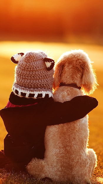 Best Friends, Dog, animal HD phone wallpaper