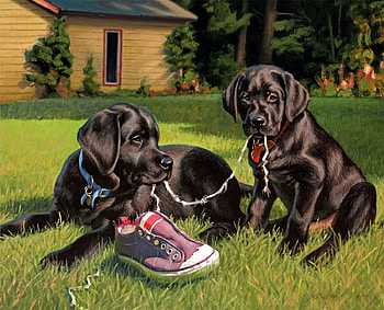 Black Dogs playing, dogs, grass, shoes, animals HD wallpaper