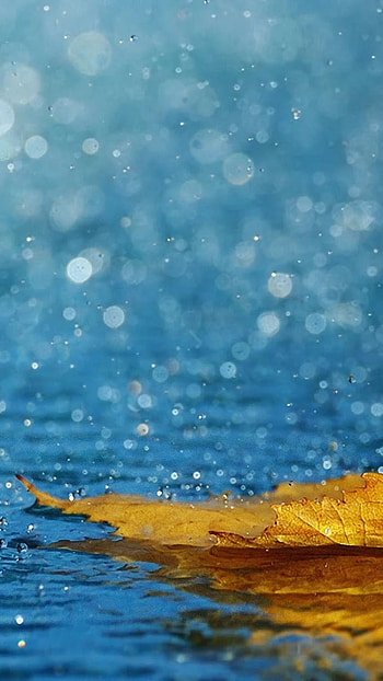 Moving, Yellow Leaf, water HD phone wallpaper
