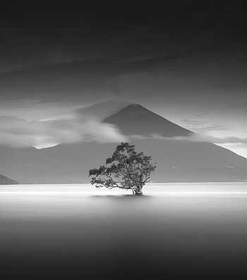 Minimalism, Nature, Mountain, Wood, Tree, Bw, Chb, Monochrome HD phone wallpaper