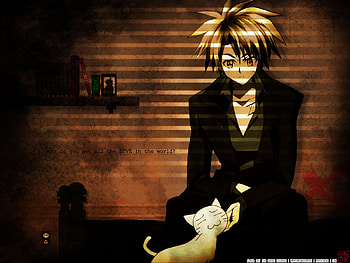 Black cat, anime, boy, train heartnet, brown hair, cute, short hair, cat HD wallpaper