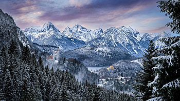 Hohenschwangau Castle In Germany , germany, world, snow, morning, nature HD wallpaper